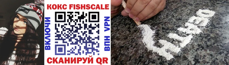 Cocaine FishScale  купить наркотик  Краснознаменск 