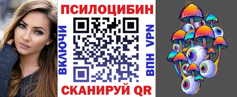 kraken ТОР  Краснознаменск  Галлюциногенные грибы мицелий 