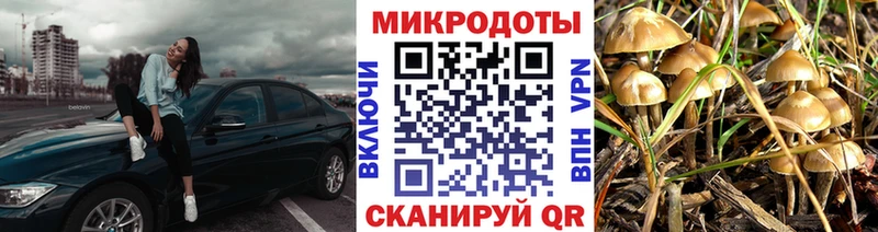 Галлюциногенные грибы MAGIC MUSHROOMS Краснознаменск